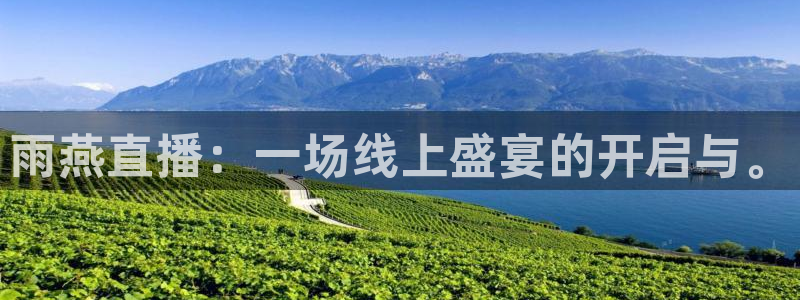 球友体育在线直播：雨燕直播：一场线上盛宴的开启与。