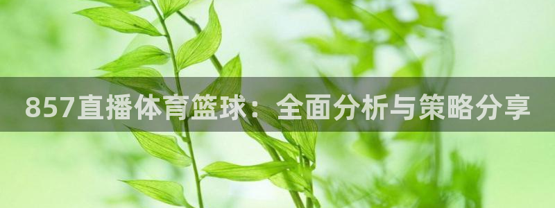 球友直播：857直播体育篮球：全面分析与策略分享