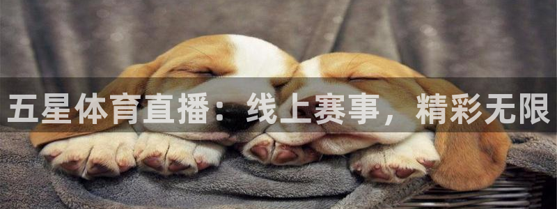 nba直播球友：五星体育直播：线上赛事，精彩无限