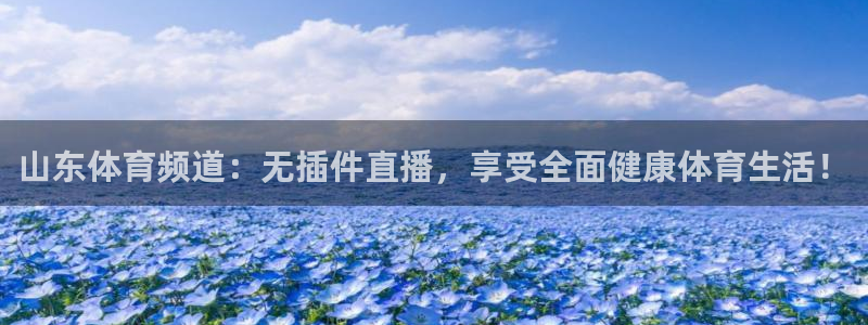 球友直播ios：山东体育频道：无插件直播，享受全面健康体育生活！