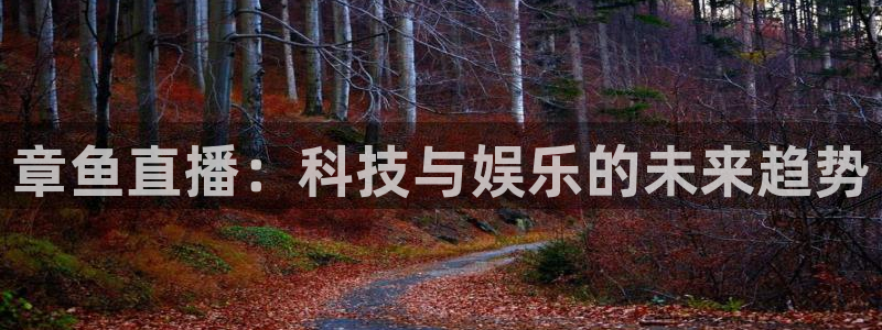 球友直播nba：章鱼直播：科技与娱乐的未来趋势