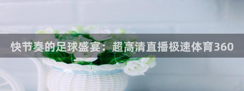 球友直播app：快节奏的足球盛宴：超高清直播极速体育360