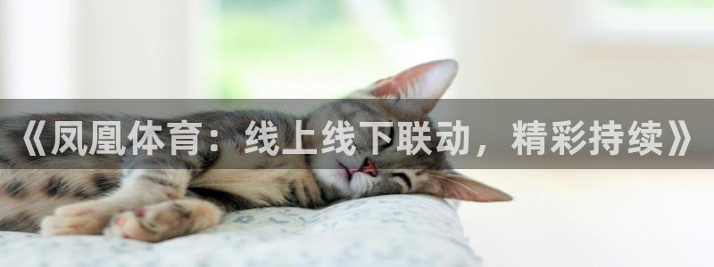 球友直播nba：《凤凰体育：线上线下联动，精彩持续》
