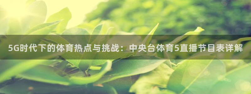 球友体育在线直播：5G时代下的体育热点与挑战：中央台体育5直播节目表详解