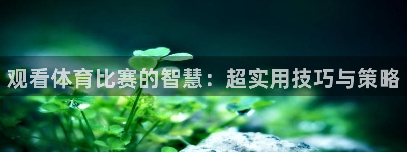 qy球友会体育网址：观看体育比赛的智慧：超实用技巧与策略